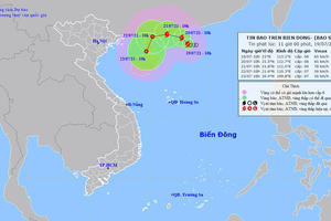 Bão Cempaka giật cấp 10 trở thành cơn bão số 3 trên biển Đông