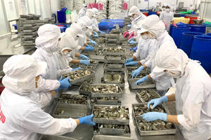 VASEP: Doanh nghiệp xuất khẩu có thể mất thêm hàng trăm tỷ vì quy định ghi nhãn hàng hoá