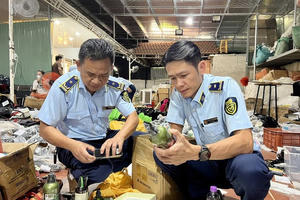 Tháng cao điểm chống buôn lậu, hàng giả: Xử lý hơn 3.100 vụ vi phạm