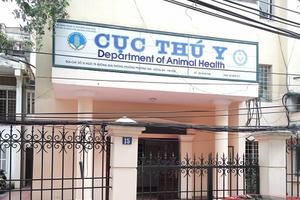 Tiếp bài Cục Thú y từ chối kiểm dịch lô hàng nội tạng động vật: Xin chỉ đạo từ Bộ trưởng