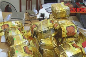 Vụ bắt 700kg ma túy ở Nghệ An: Hé lộ "mắt xích" quan trọng