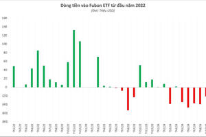 Đợt cơ cấu của quỹ ETF quy mô lớn nhất thị trường: Cổ phiếu ngân hàng thứ 5 chính thức lọt rổ, "thế chỗ" ông lớn ngành xây dựng