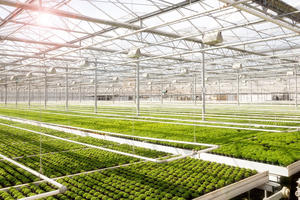 Startup lĩnh vực nông nghiệp Việt Nam được rót vốn 4,5 triệu USD