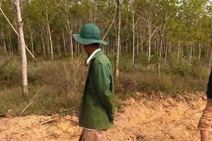 Bình Phước: Khốn khổ vì dính tranh chấp hợp đồng miệng