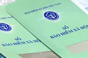 TP.HCM: Gần 15.000 doanh nghiệp bị 'bêu tên' vì chậm đóng bảo hiểm xã hội