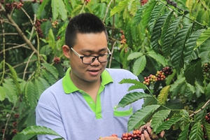 “Con đường đến nông nghiệp sạch vẫn còn quá gian nan”