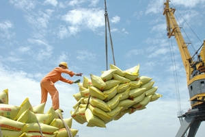 Nâng tối đa 3% bảo lãnh dự thầu với các doanh nghiệp tham gia đấu thầu dữ trữ gạo quốc gia