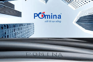 Pomina (POM) giải trình nguyên nhân cổ phiếu bị hạn chế giao dịch, lên phương án hợp tác với VNSteel