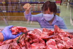 Bộ trưởng Nguyễn Xuân Cường: Nếu heo đắt quá thì chuyển ăn thịt gà, tôm, cá