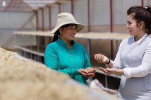 Cách xây hệ sinh thái bền vững của CEO King Coffee Lê Hoàng Diệp Thảo