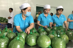 Nông sản xuất khẩu vào EU tăng mạnh sau EVFTA