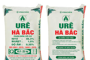 Tái cơ cấu khoản nợ, Đạm Hà Bắc (DHB) báo lãi hơn 1.649 tỷ đồng trong quý IV/2023