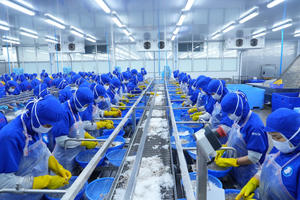 Thuỷ sản Thuận Phước (THP) lên kế hoạch kinh doanh thận trọng cho năm 2025