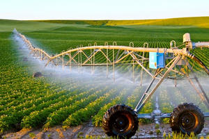 Vai trò của doanh nghiệp đầu tư vào sản xuất nông nghiệp công nghệ cao