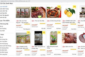 Đầu tư vào tiêu thụ nông sản trên sàn thương mại điện tử
