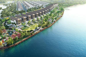 Mối liên hệ giữa bộ đôi Kiến Á – Vĩnh Phú như thế nào?