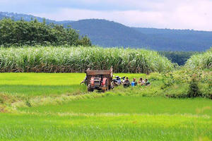 Quy định về tách thửa, hợp thửa đất