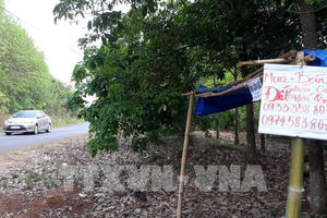 “Siết” phân lô bán nền có hạ nhiệt cơn “sốt” đất?