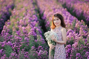 Nhà phân phối Trà giảm béo Jasmine Tea Nhi Đặng: Kinh doanh online thành công phải xây dựng hệ thống vững mạnh