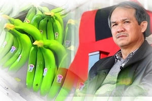 Hoàng Anh Gia Lai: Cầm cố 30 triệu cổ phiếu của công ty con cho khoản vay 500 tỷ tại Sacombank, nêu kế hoạch khắc phục chứng khoán bị cảnh báo