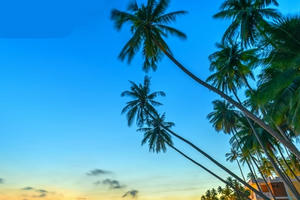 Thị trường bất động sản du lịch nghỉ dưỡng Mũi Né "nổi sóng"