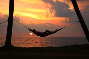 Xu hướng đi du lịch để ngủ