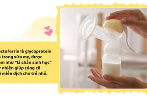 Lactoferrin và bước tiến mới trong dinh dưỡng đề kháng