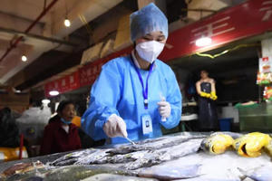 Xét nghiệm các mẫu thực phẩm nhập khẩu đề phòng Covid-19