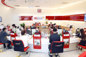 HDBank (HDB) báo lãi trước thuế tăng 16% cùng nợ xấu tăng vọt, dự chi 800 tỷ mua công ty chứng khoán