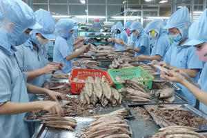 Vốn FDI vào Việt Nam đạt 2 tỷ USD trong tháng 1, Bắc Giang đứng đầu top 3 tỉnh thành thu hút đầu tư nhất