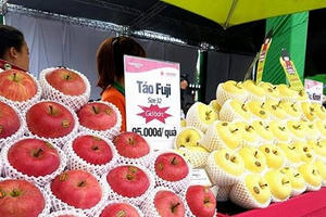 Táo sạch Nhật Bản chính vụ 2018 đã có mặt tại Việt Nam