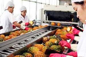 Chính sách nhiều, đầu tư ít, nông nghiệp "tắc" ở đâu?