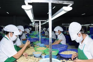 Xuất khẩu hàng Việt Nam sang Đông Âu còn khiêm tốn, chỉ 6,5 tỉ USD