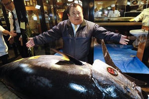 ‘Ông trùm’ sushi Nhật bỏ ra số tiền kỷ lục 3,1 triệu USD để mua một con cá ngừ