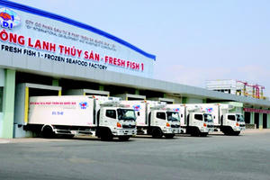 Đầu tư và Phát triển đa quốc gia (IDI) báo lãi ròng quý II/2025 tăng 83%, đạt 33 tỷ đồng