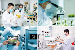 Phát triển thị trường khoa học và công nghệ đồng bộ, hiệu quả, hiện đại và hội nhập