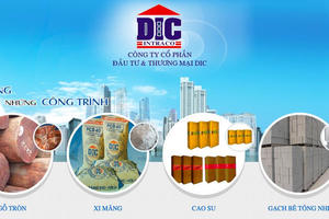 Vi phạm công bố thông tin, Công ty Đầu tư và thương mại DIC (DIC) bị phạt 85 triệu đồng