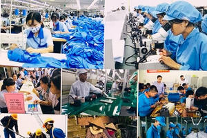 Những hành vi bị nghiêm cấm trong lĩnh vực việc làm