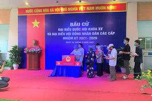 Rộn ràng không khí ngày hội bầu cử tại Hà Nội trong mùa dịch 