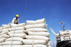 Tạm đình chỉ 7 cục trưởng liên quan đến dự trữ gạo quốc gia