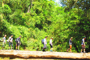 Đồng Nai: Đề án thứ 2 về du lịch sinh thái rừng được phê duyệt