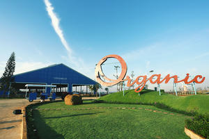 Vinamilk (VNM) quý III/2022 lợi nhuận sau thuế hợp nhất đạt 2.363 tỷ, cổ phiếu vượt đỉnh 9 tháng