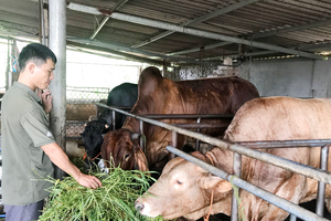 Huyện Lạng Giang (Bắc Giang): Nhiều điểm sáng trong bức tranh kinh tế - xã hội 