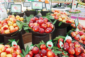 Rộn ràng mua sắm tại lễ hội táo Washington siêu thị BRGMart 2023