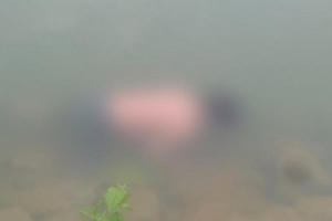 Bà nội bình tĩnh đến lạ khi thực nghiệm hành vi sát hại cháu gái 11 tuổi