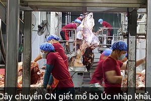 Công ty CP Đông Thành Hà Nội: Mang thực phẩm sạch đến với người tiêu dùng và cộng đồng xã hội