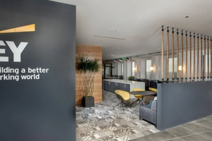 EY Việt Nam: Lợi nhuận sau thuế giảm 94%, 3 kiểm toán viên bị UBCKNN đình chỉ tư cách