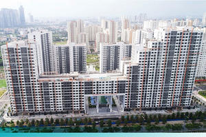 ​Tiếp tục hoàn thiện thể chế về đầu tư xây dựng, kinh doanh nhà ở, bất động sản