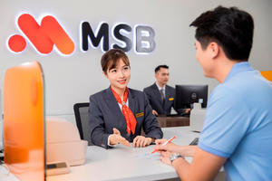 9 cổ đông nắm giữ gần 34% vốn của Ngân hàng Hàng Hải Việt Nam (MSB) 