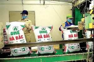 Đạm Hà Bắc (DHB) báo lỗ quý thứ 3 liên tiếp, vốn chủ sở hữu âm hơn 1.000 tỷ đồng